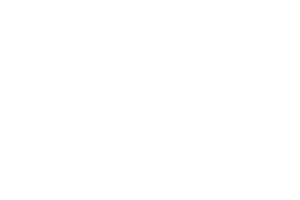 Hankuk University